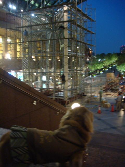 d0098295_23274216.jpg