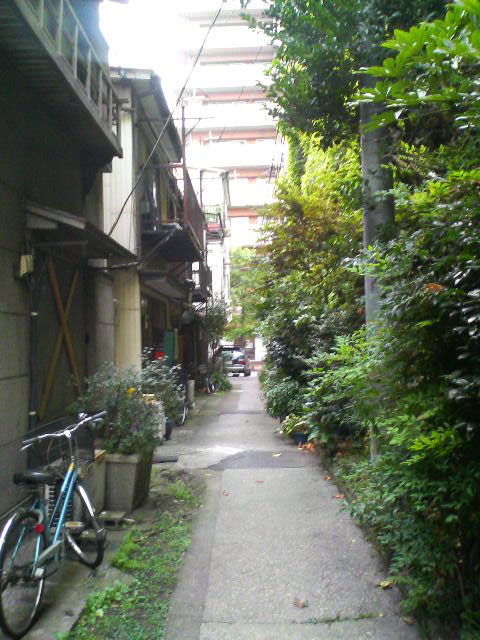 f0108399_12491825.jpg