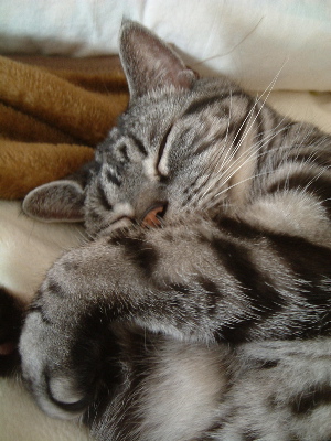 a0079803_0581437.jpg