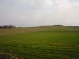 b0025405_23232981.jpg