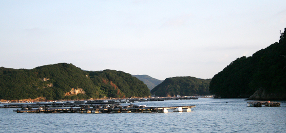 c0011009_21534191.jpg