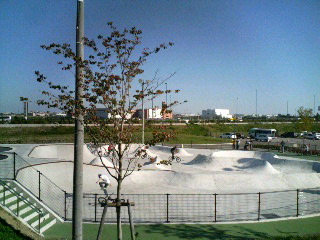f0119119_23321668.jpg