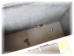 c0111021_10352325.gif