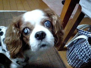 b0102023_15334091.jpg