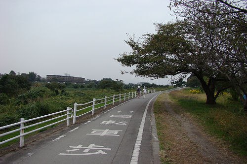 f0007926_16565780.jpg