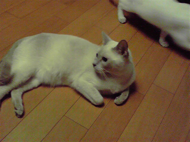 a0090729_19335393.jpg