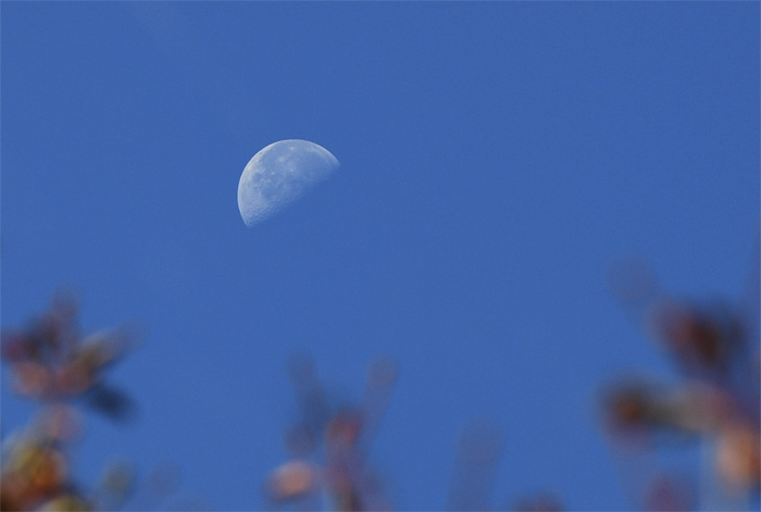 d0029829_6115645.jpg