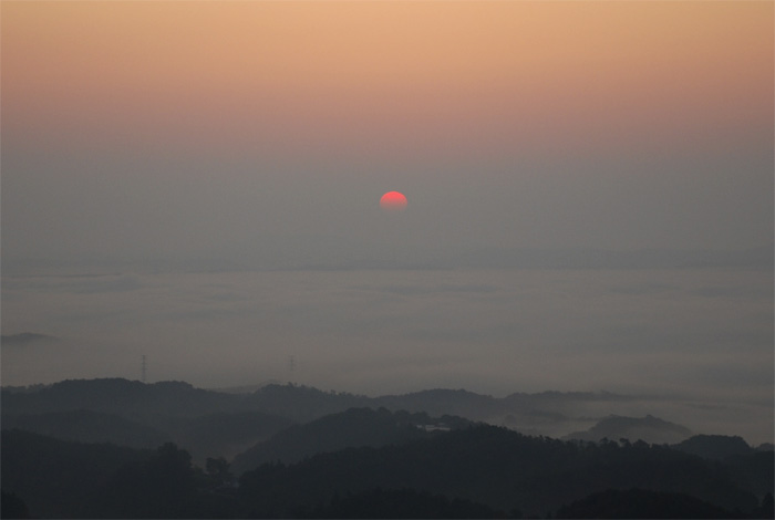 d0029829_6172021.jpg