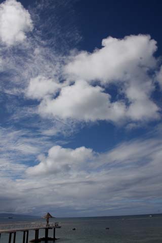 c0136933_19311031.jpg