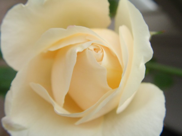 f0002833_17401024.jpg