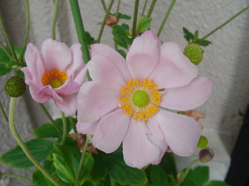 f0002833_17434263.jpg