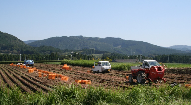 f0042737_10232456.jpg