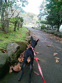 e0150843_13303738.jpg
