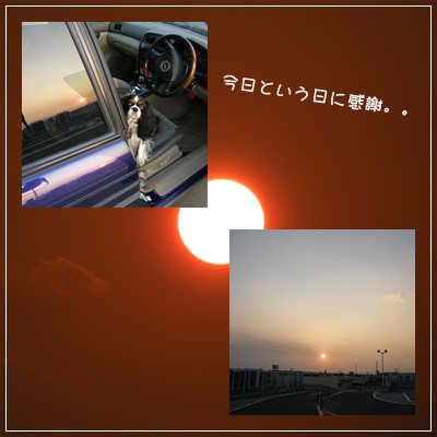 c0145250_11425188.jpg