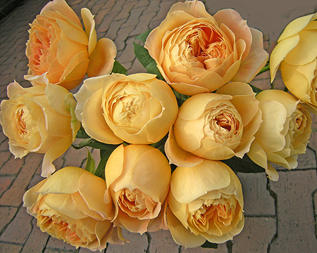 a0001354_19341545.jpg