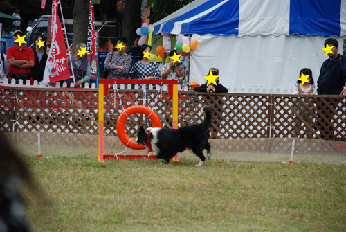 f0140454_2223645.jpg