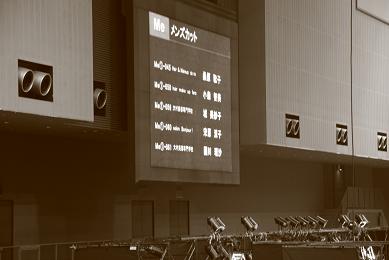 f0190756_1339169.jpg