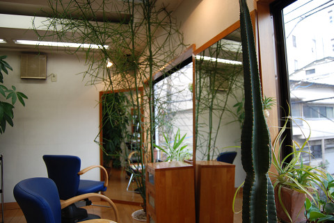 f0186368_101564.jpg