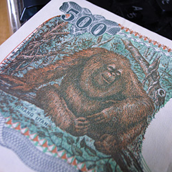 e0038669_871259.jpg
