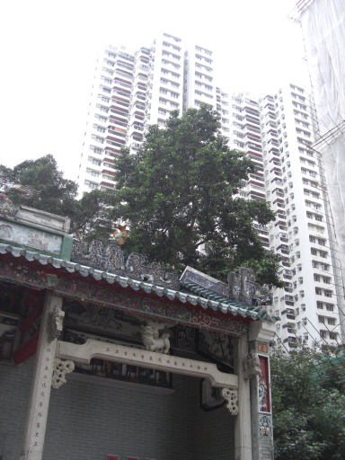 b0095671_23264615.jpg