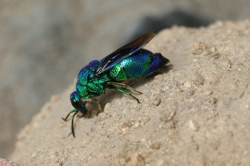 b0088772_22482650.jpg