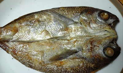 e0120575_181344.jpg