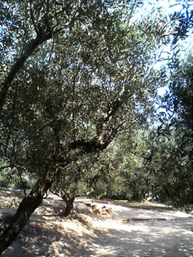 f0054677_9252171.jpg