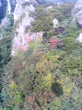 f0054677_927124.jpg