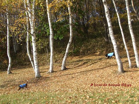 f0150377_14465477.jpg