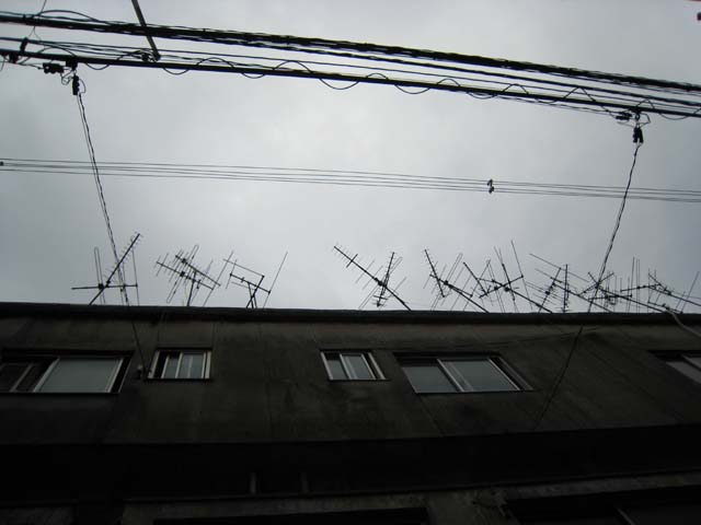 b0137082_2011454.jpg