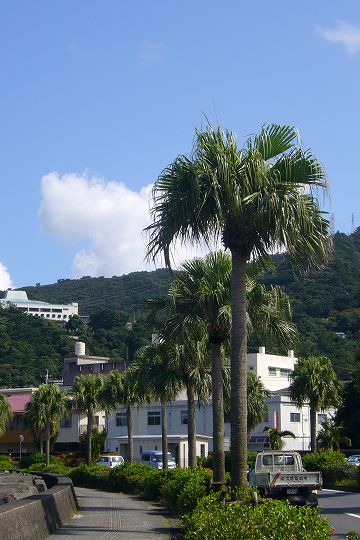 b0115085_14264982.jpg