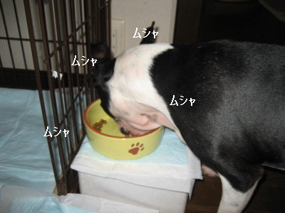 c0092787_17563497.jpg