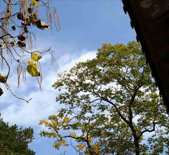 d0088788_11254211.jpg