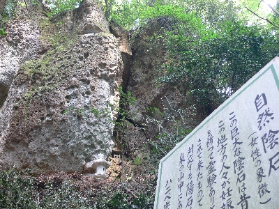 f0103688_22145088.jpg