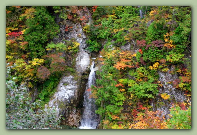 f0079990_10373455.jpg