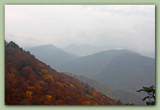 f0079990_11484632.jpg