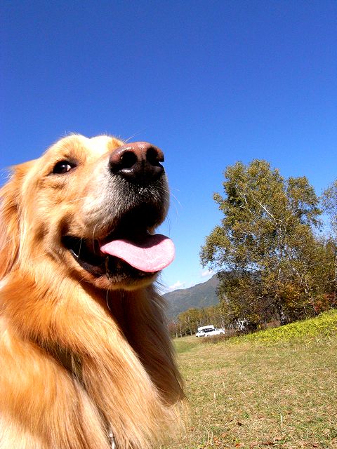 a0093592_23313597.jpg