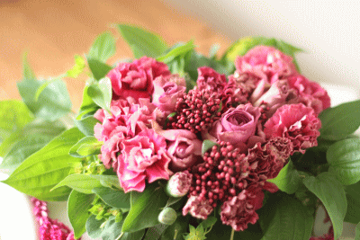d0100192_2375070.gif