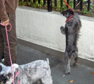 c0138198_1551555.jpg