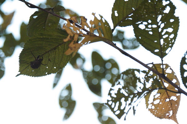 c0044199_21514249.jpg