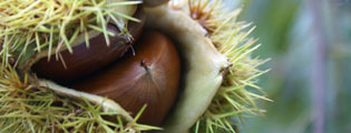 f0058799_20344024.jpg