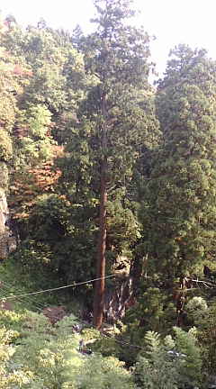 e0055700_1241520.jpg