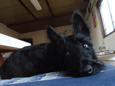 a0050802_18491718.jpg