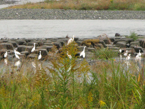 c0011204_2374593.jpg