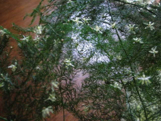 d0101907_23214167.jpg