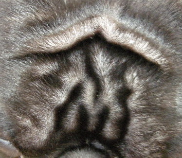 f0183509_189479.jpg