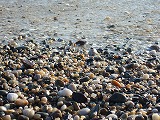 e0124011_9304558.jpg