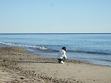 e0124011_931986.jpg