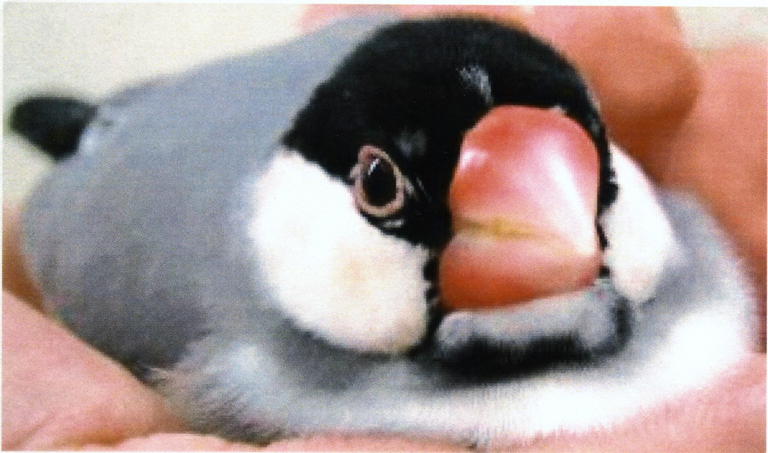 d0006812_14584110.jpg