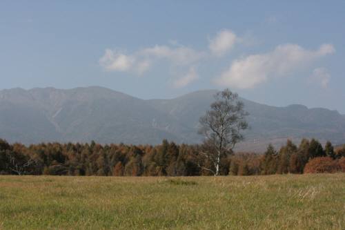 e0059512_13291147.jpg